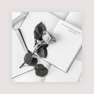 91精品㊙️无码一区二区
